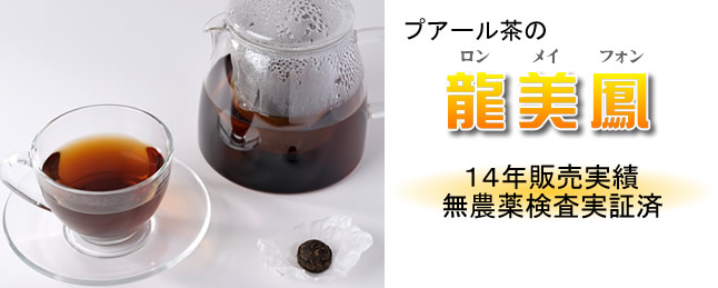 ζ��˱��13ǯ������ӡ�̵���������¾ںѤ�