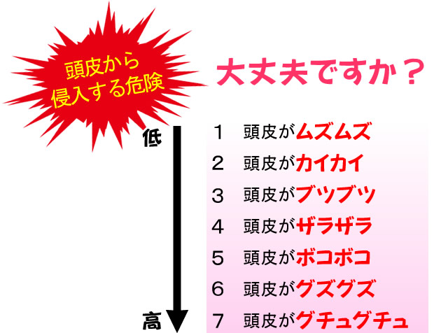 頭皮から侵入する危険！大丈夫ですか？