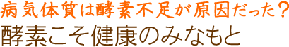 病気体質は酵素不足が原因だった？酵素こそ健康のみなもと