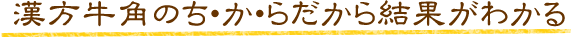 漢方牛角のちからだから結果がわかる