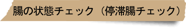 腸の状態チェック（停滞腸チェック）