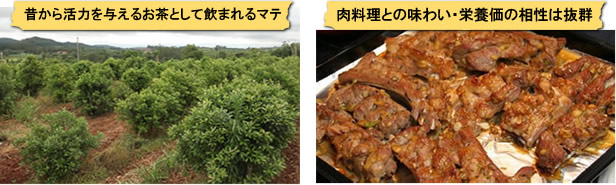 昔から活力を与えるお茶として飲まれるマテ。肉料理との味わい・栄養価の相性は抜群。